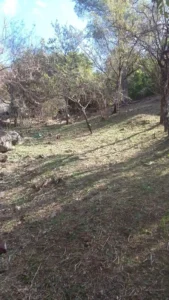 Casa en Los Aromos - Foto 2