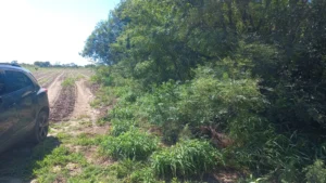 Campo en Colonia Tirolesa - Foto 4